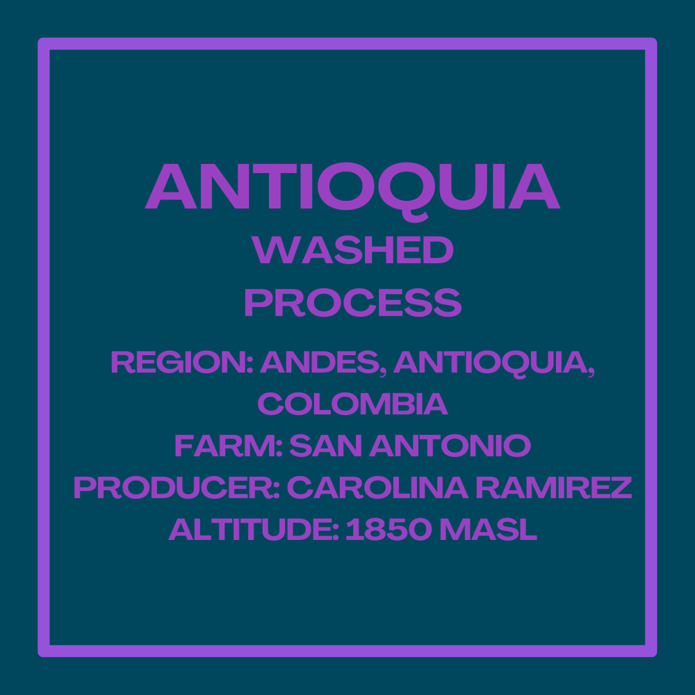 Flow Coffee - Carolina Ramirez Antioquia Washed Process