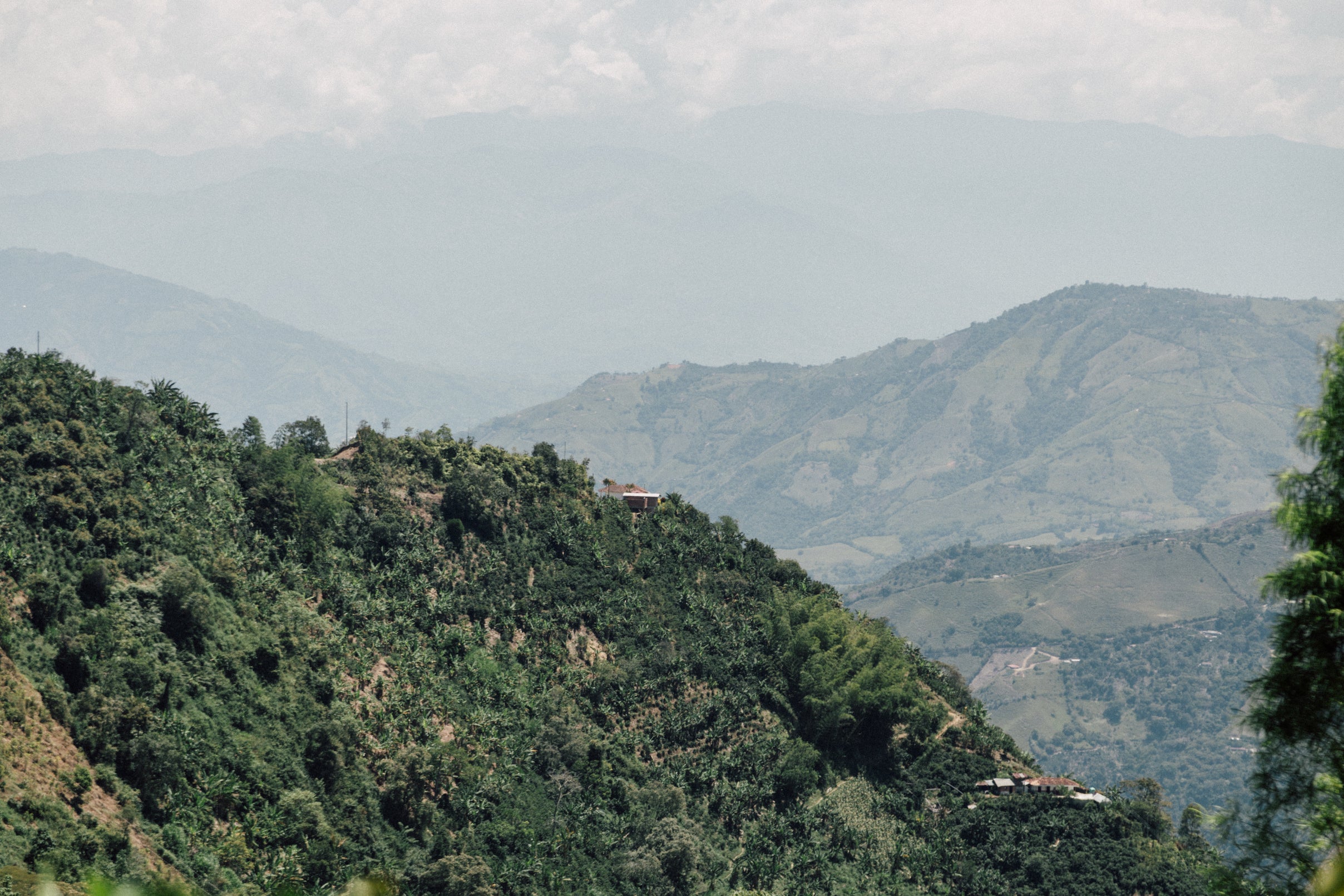 Ivan's Ext. Fermentation Washed