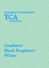 YCA