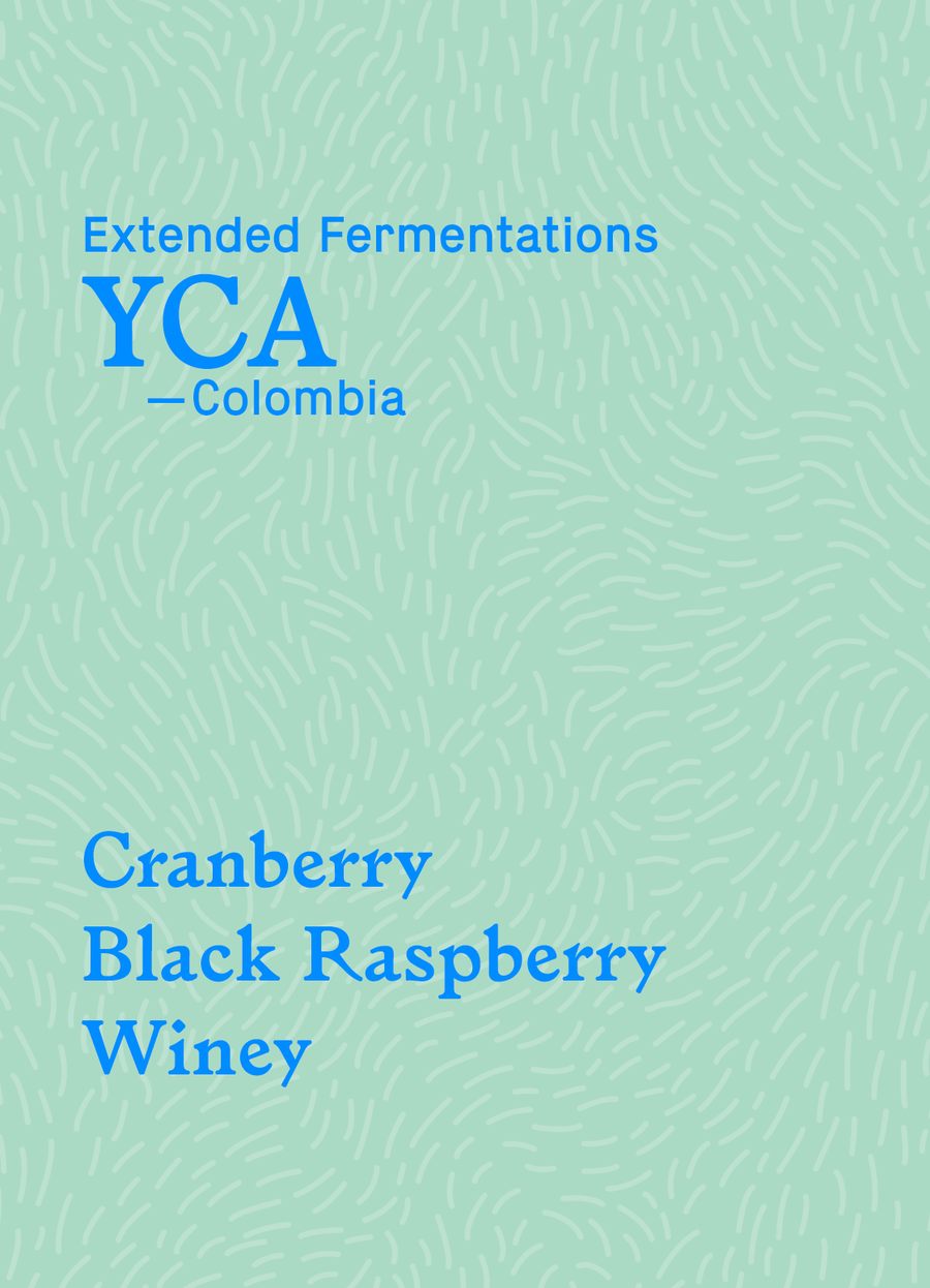 YCA