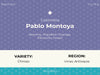 Colombia Pablo Montoya Washed Chiroso