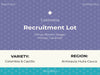 Recruitment Lot