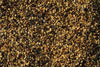 Danilo's Ext. Fermentation Washed