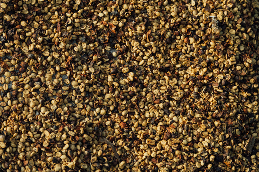 Danilo's Ext. Fermentation Washed