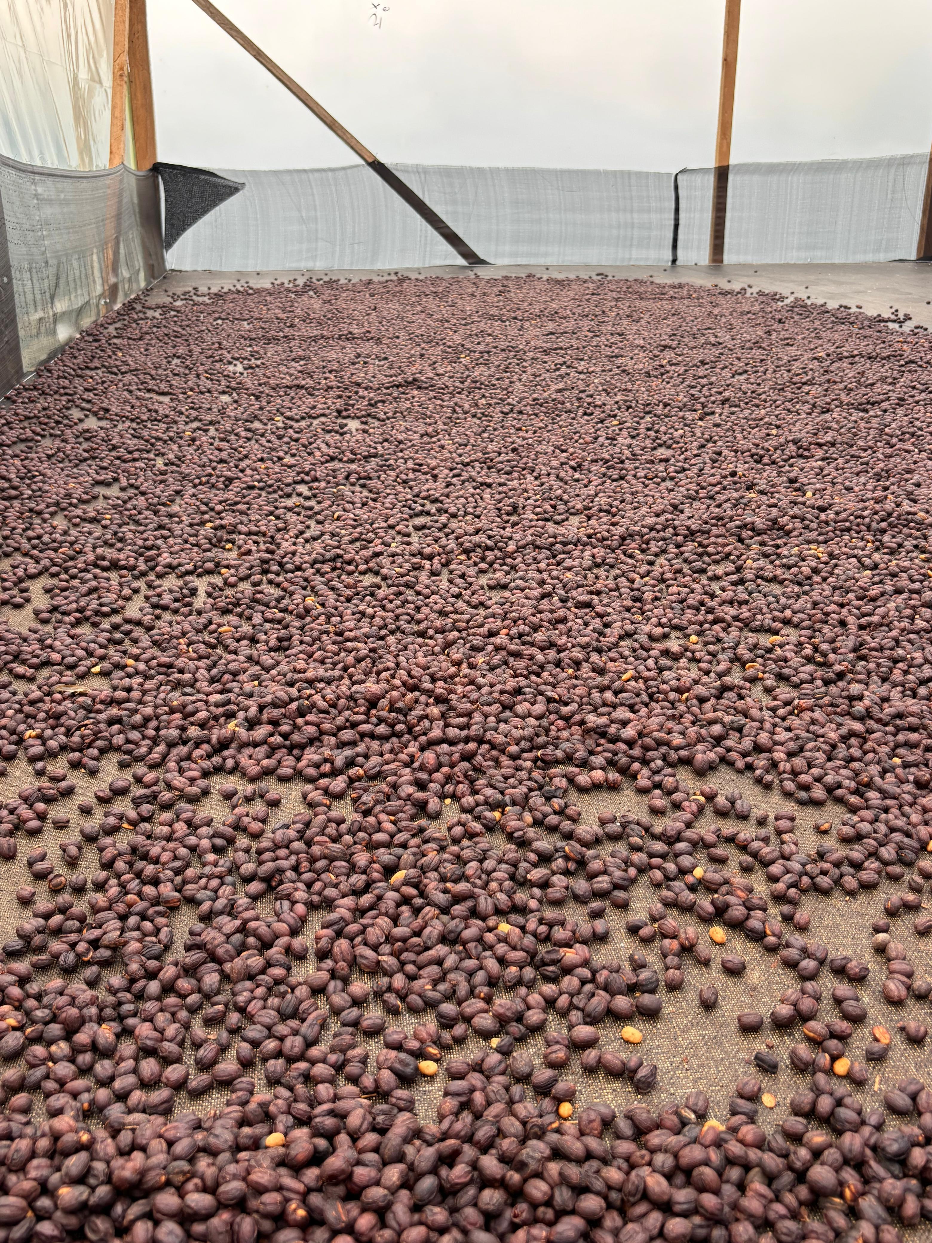 Marlon's Aji Bourbon Washed