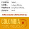Colombia Young Producers | Chiroso Washed